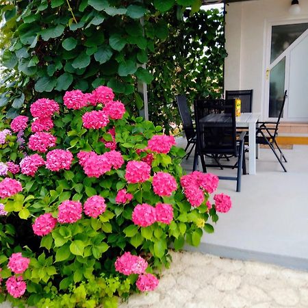 Apartments And Room Markovic Rovinjsko Selo Dış mekan fotoğraf