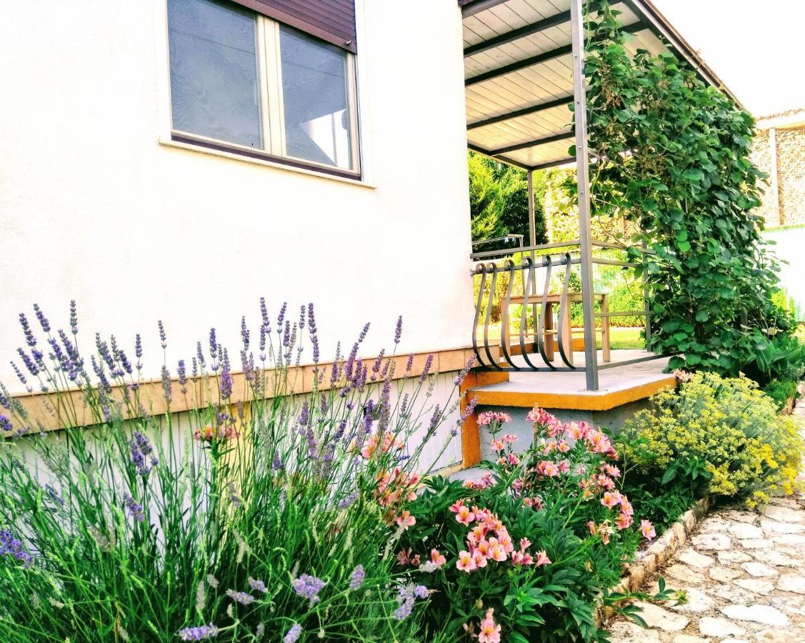 Apartments And Room Markovic Rovinjsko Selo Dış mekan fotoğraf