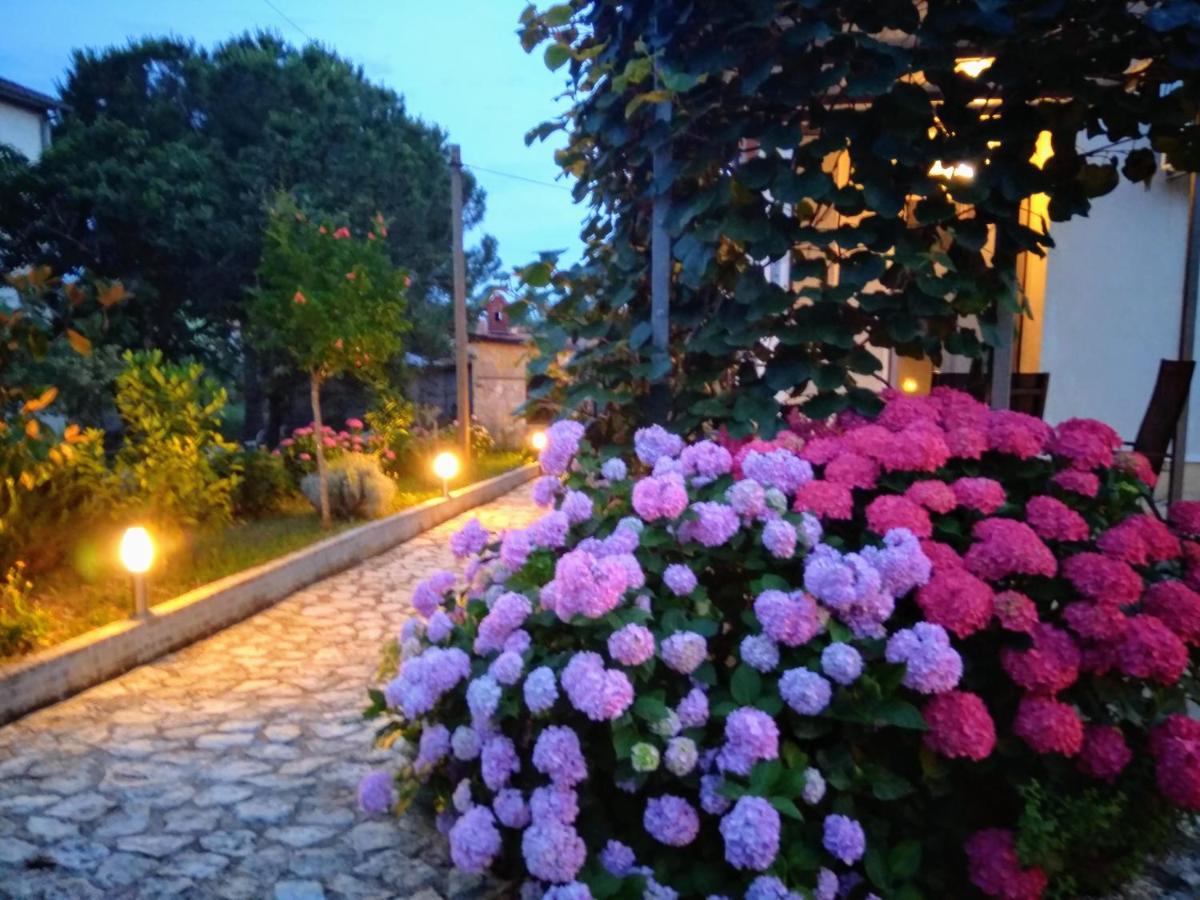 Apartments And Room Markovic Rovinjsko Selo Dış mekan fotoğraf