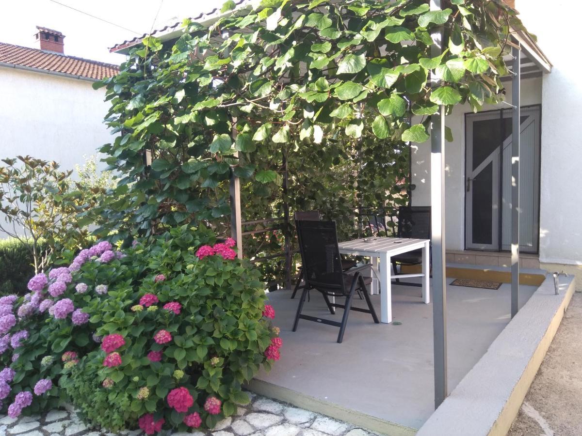 Apartments And Room Markovic Rovinjsko Selo Dış mekan fotoğraf