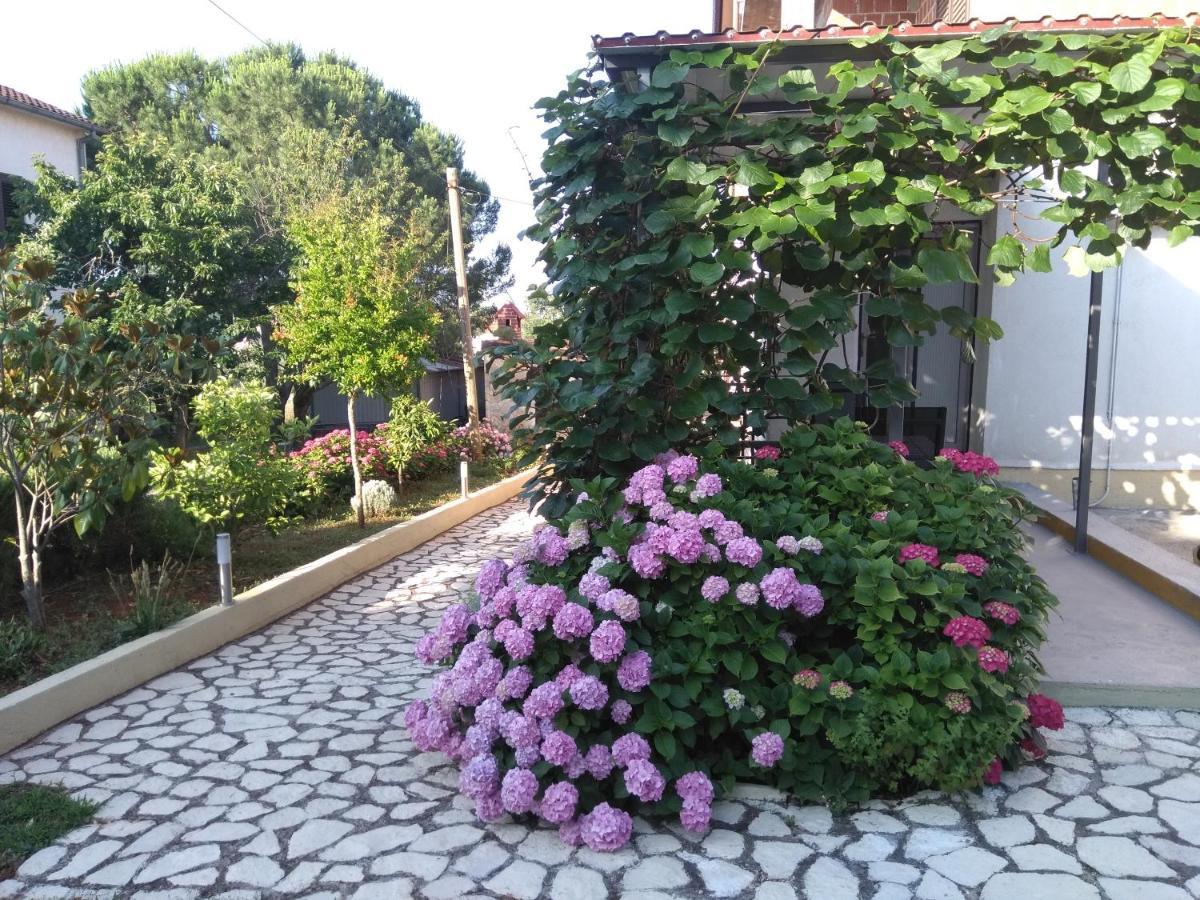 Apartments And Room Markovic Rovinjsko Selo Dış mekan fotoğraf