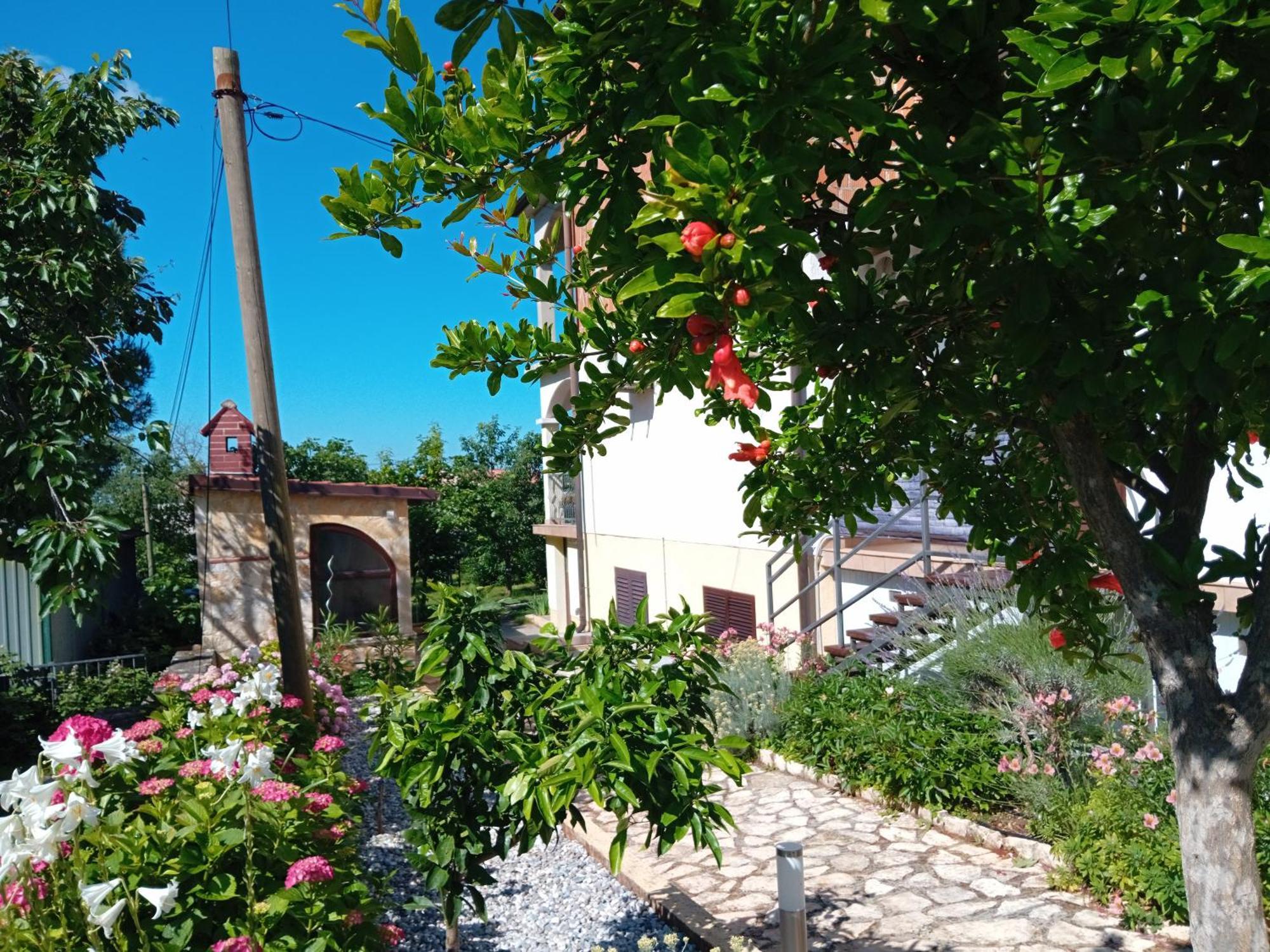 Apartments And Room Markovic Rovinjsko Selo Dış mekan fotoğraf