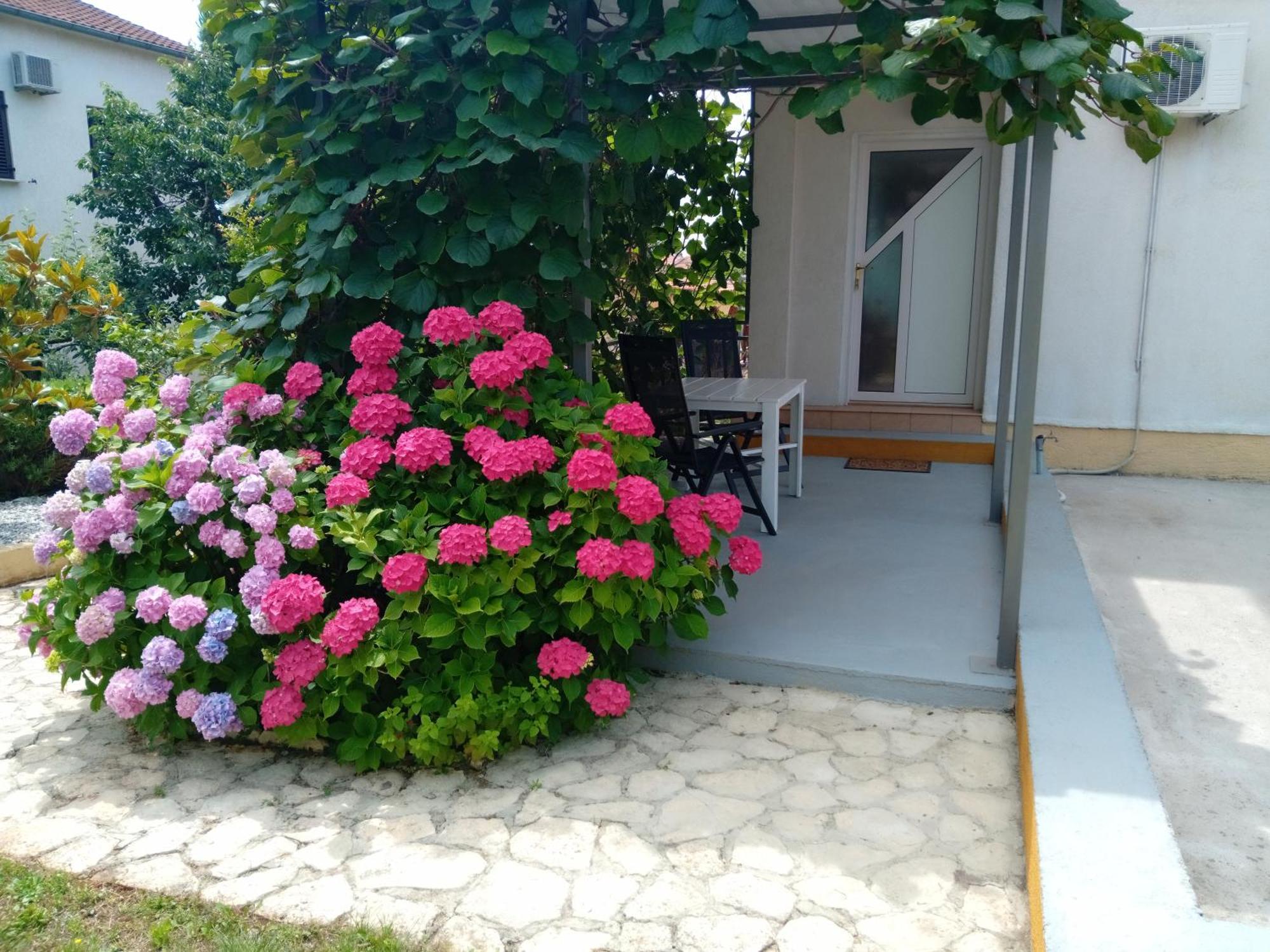 Apartments And Room Markovic Rovinjsko Selo Dış mekan fotoğraf