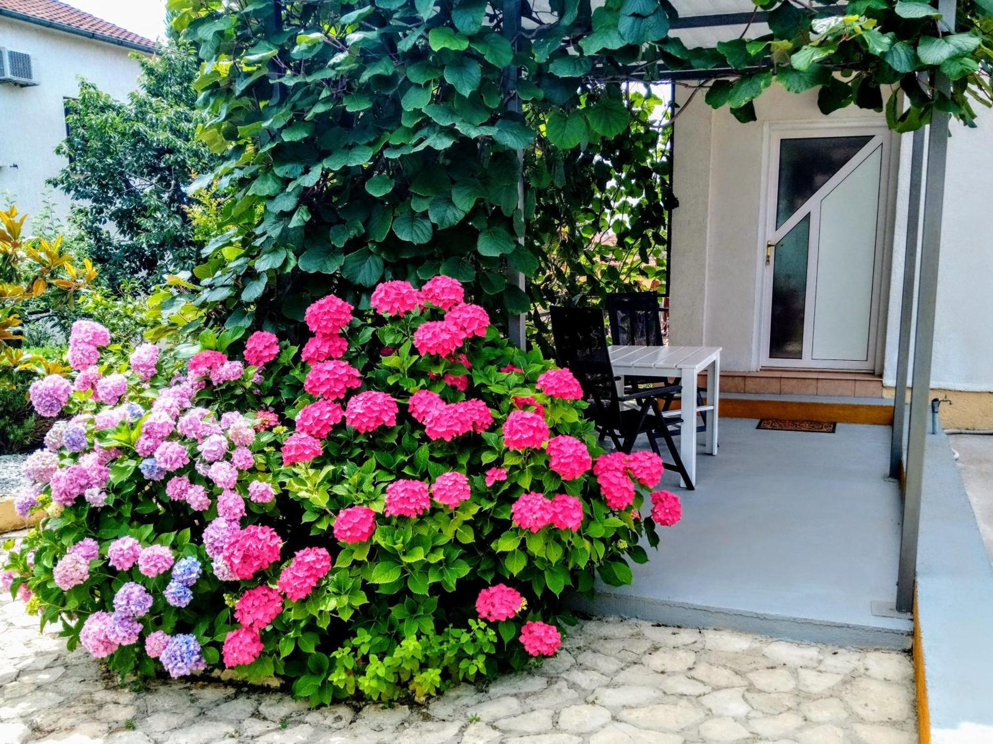 Apartments And Room Markovic Rovinjsko Selo Dış mekan fotoğraf