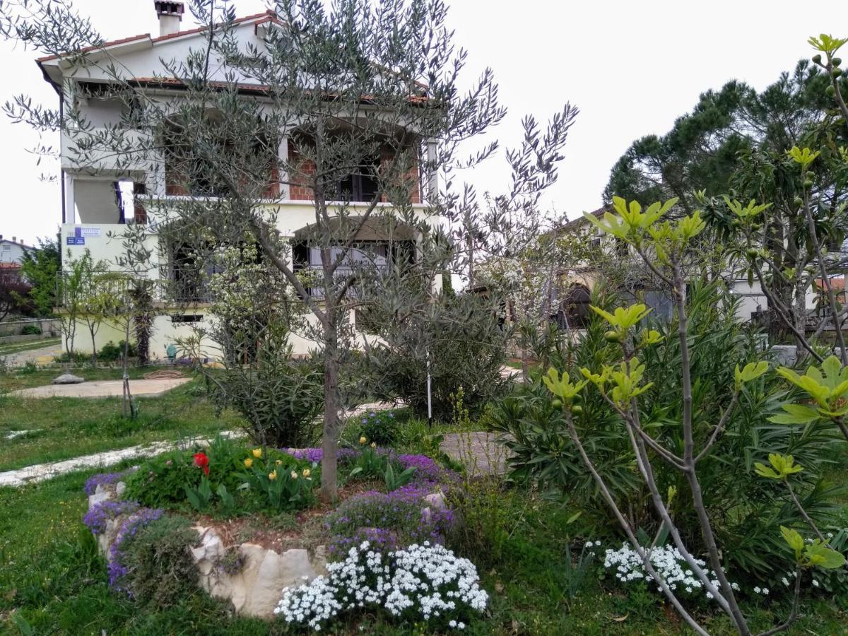 Apartments And Room Markovic Rovinjsko Selo Dış mekan fotoğraf